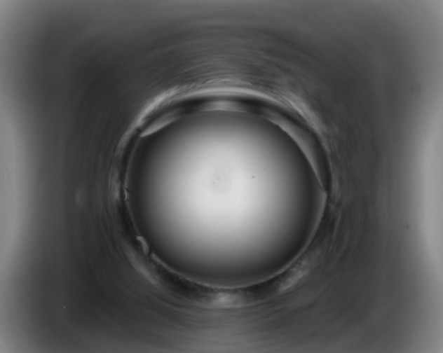 X0000086780060200704201832