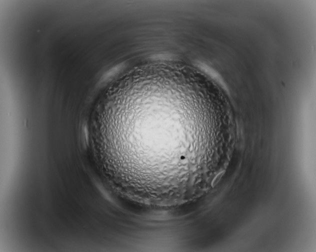 X0000086780061200704201832