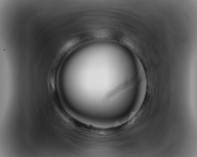 X0000086780062200704201832