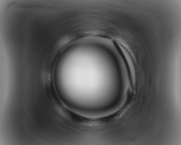 X0000086780063200704201832