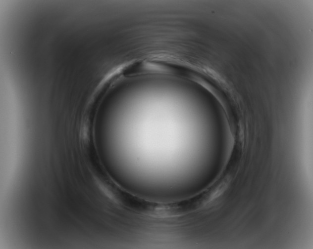 X0000086780064200704201832