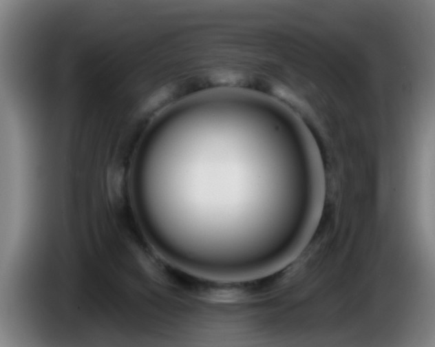 X0000086780066200704201832