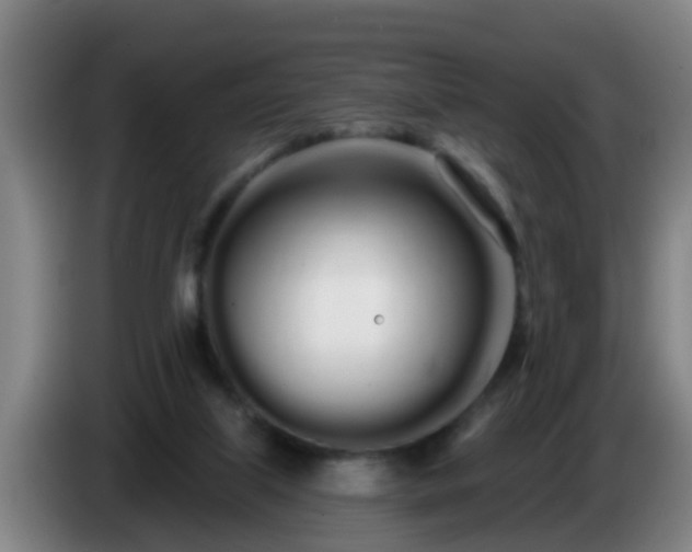 X0000086780067200704201832