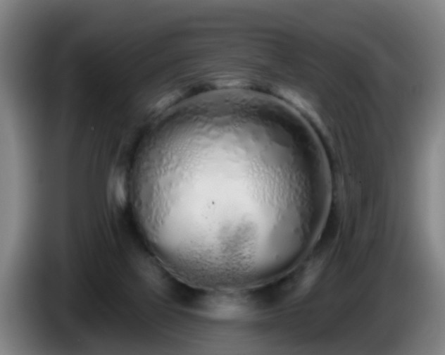 X0000086780069200704201832