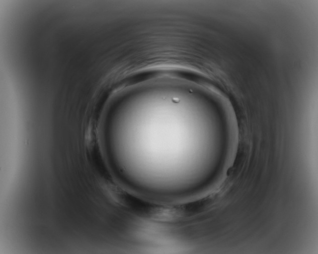 X0000086780074200704201832