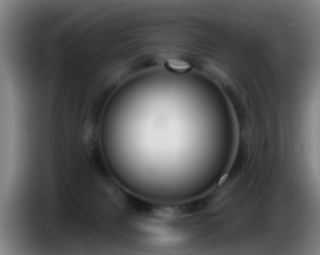 X0000086780079200704201832