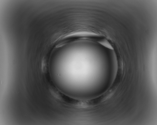 X0000086780080200704201832