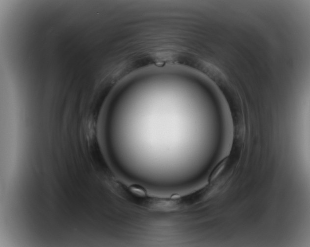 X0000086780081200704201832