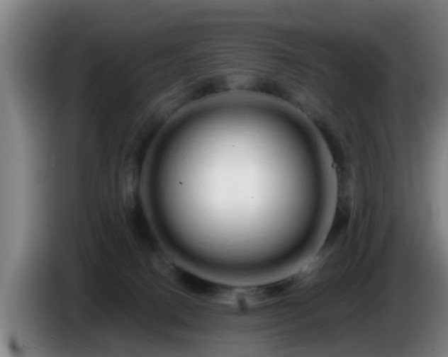 X0000086780082200704201832