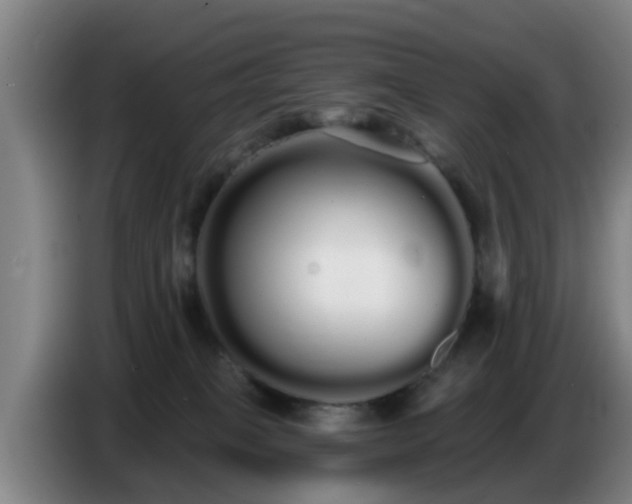 X0000086780085200704201832