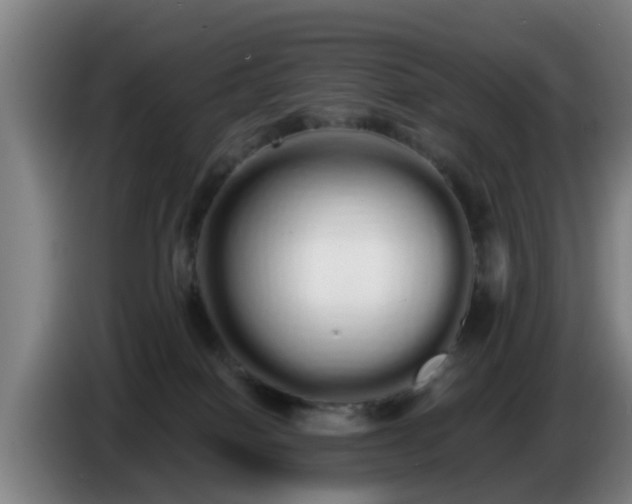 X0000086780086200704201832