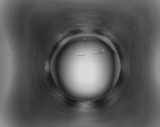 X0000086780089200704201832