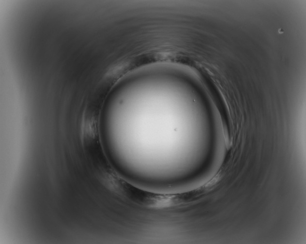 X0000086780090200704201832