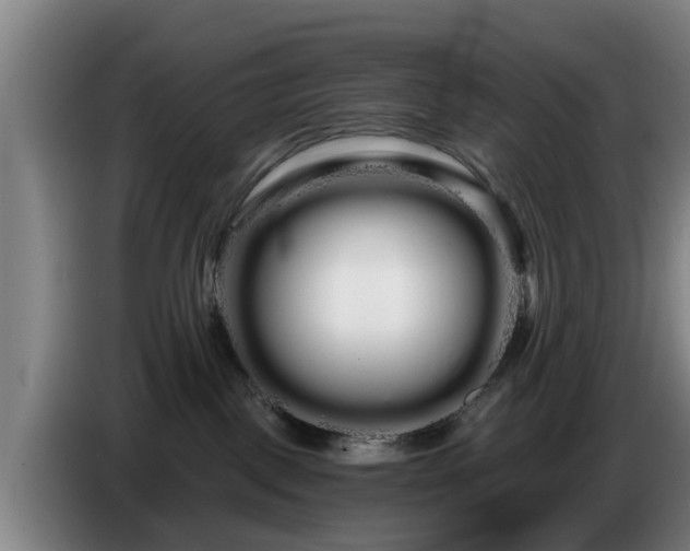 X0000086780093200704201832