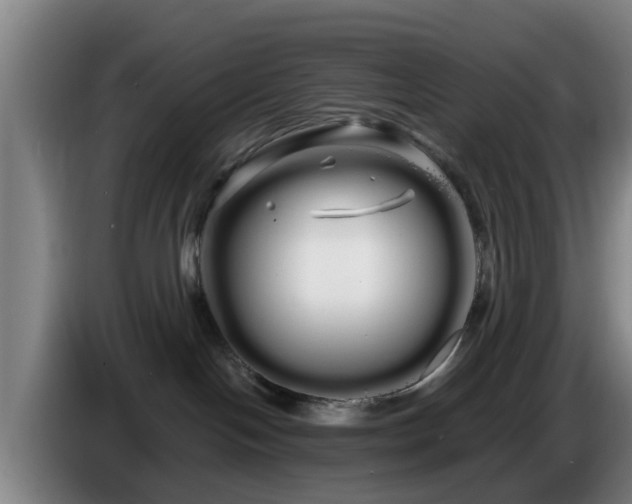 X0000086780094200704201832