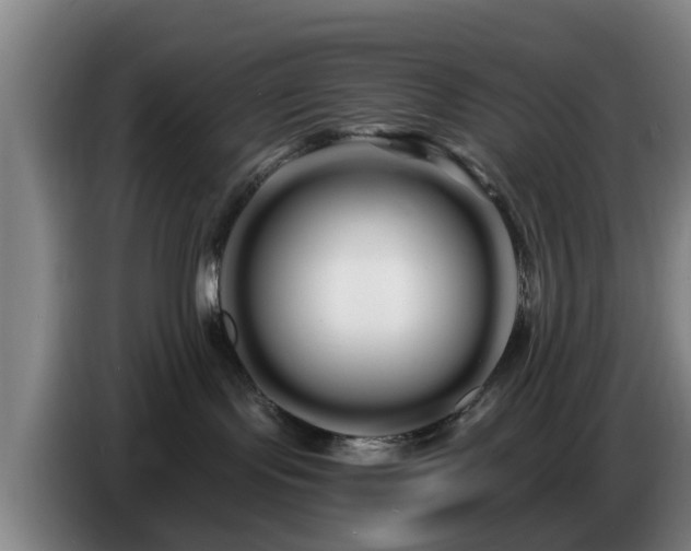 X0000086780095200704201832