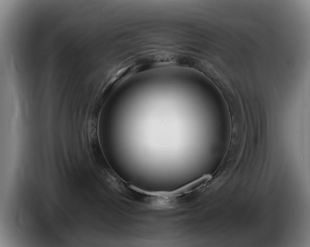 X0000086780096200704201832