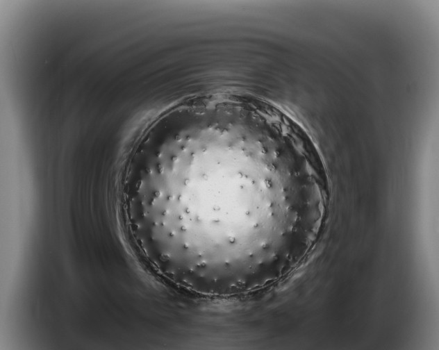 X0000086780097200704201832