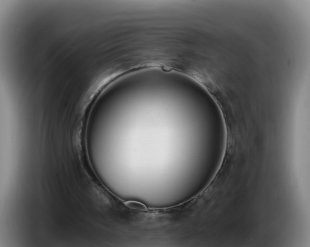 X0000086780098200704201832