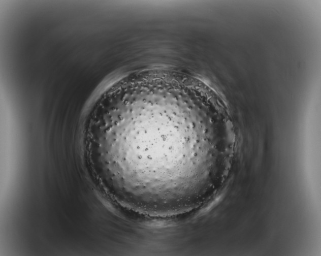 X0000086780101200704201832