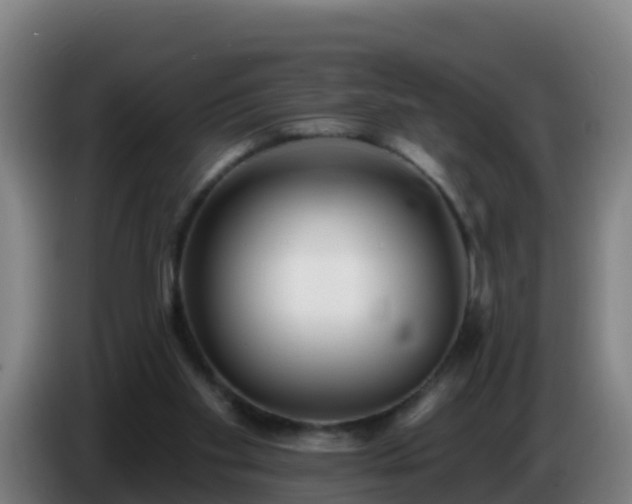 X0000086780109200704201832