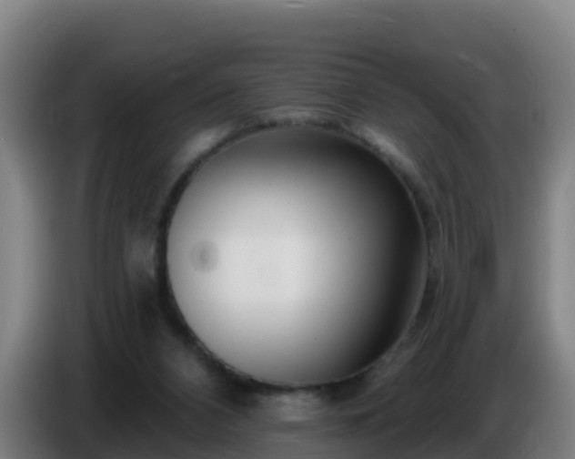 X0000086780112200704201832