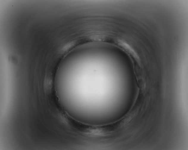 X0000086780113200704201832