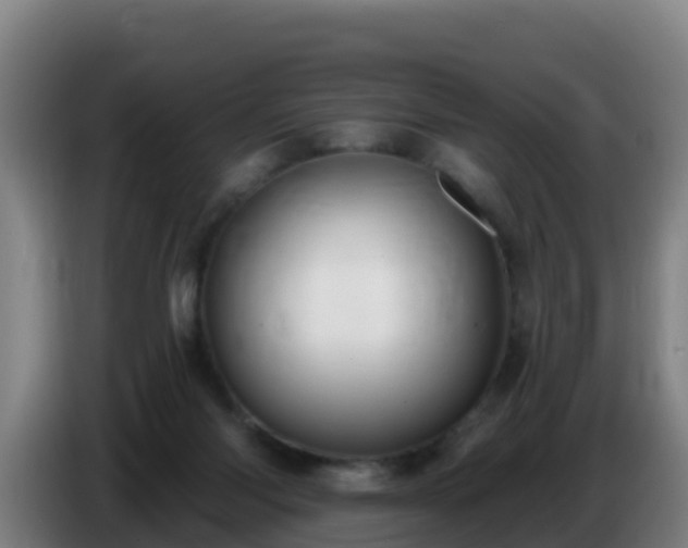 X0000086780118200704201832