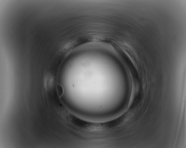 X0000086780123200704201831