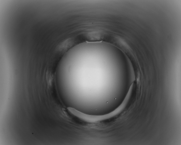 X0000086780125200704201831