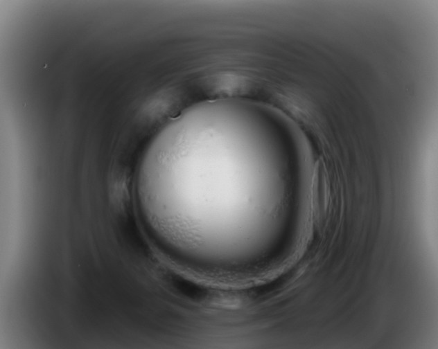 X0000086780127200704201831