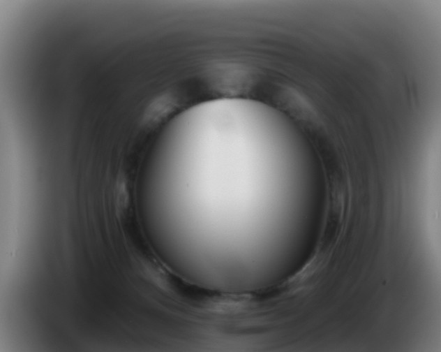 X0000086780128200704201831