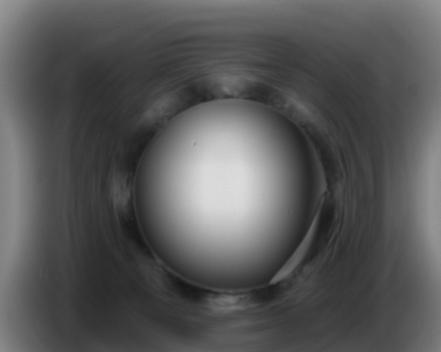 X0000086780129200704201831