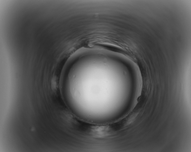 X0000086780135200704201831