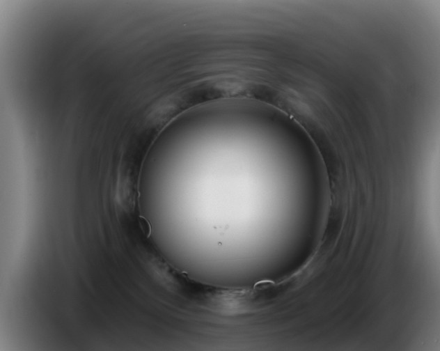 X0000086780136200704201831