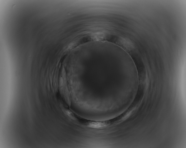 X0000086780139200704201831