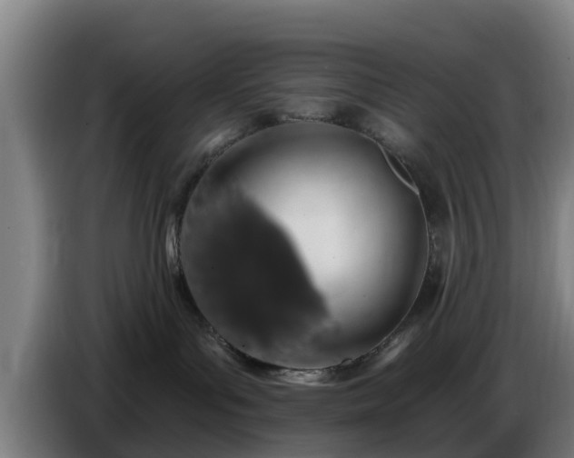 X0000086780143200704201831