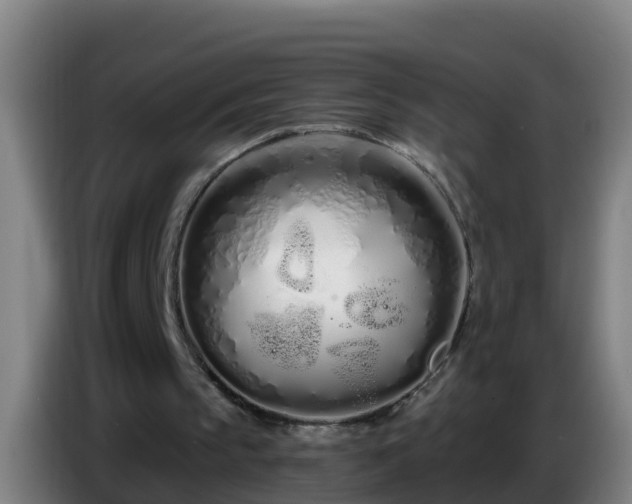 X0000086780145200704201831