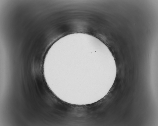 X0000086780146200704201831