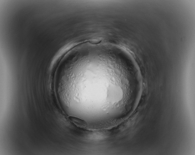 X0000086780149200704201831