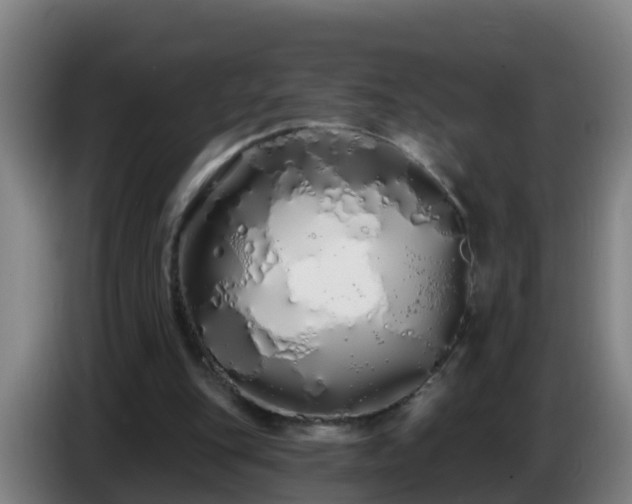 X0000086780151200704201831