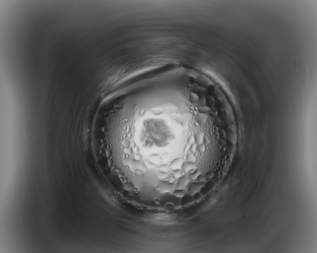 X0000086780153200704201831