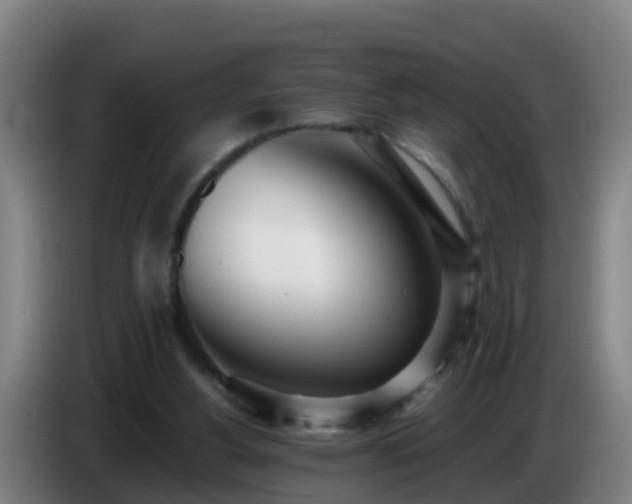 X0000086780156200704201831