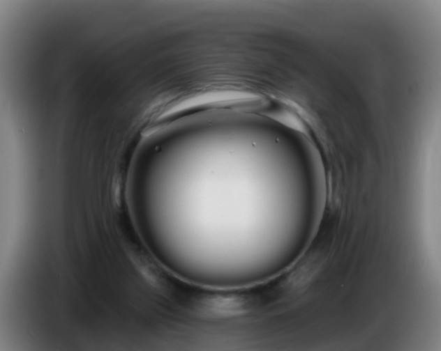 X0000086780157200704201831