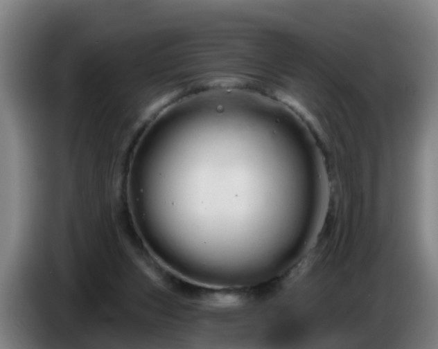 X0000086780159200704201831