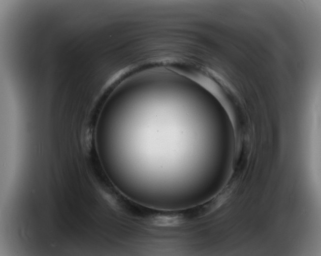 X0000086780160200704201831