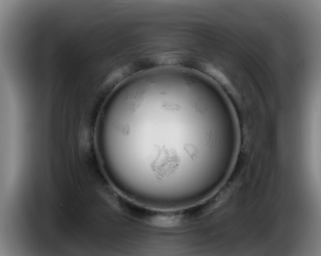 X0000086780161200704201831