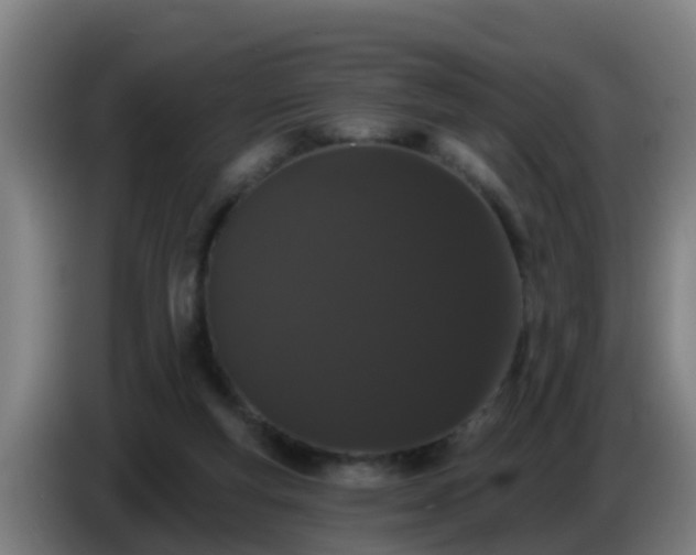 X0000086780163200704201831