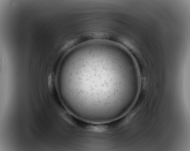 X0000086780165200704201831