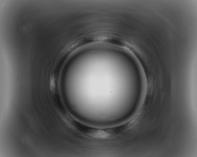 X0000086780166200704201831